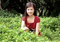 We invite you to browse our photo gallery: foreign woman cuibai